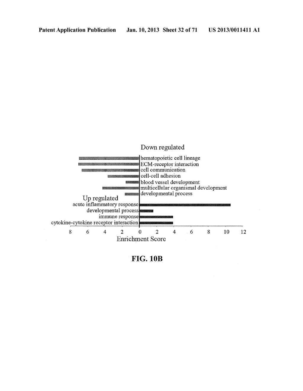 METHODS AND COMPOSITIONS FOR THE DIAGNOSIS, PROGNOSIS, AND TREATMENT OF     CANCER - diagram, schematic, and image 33