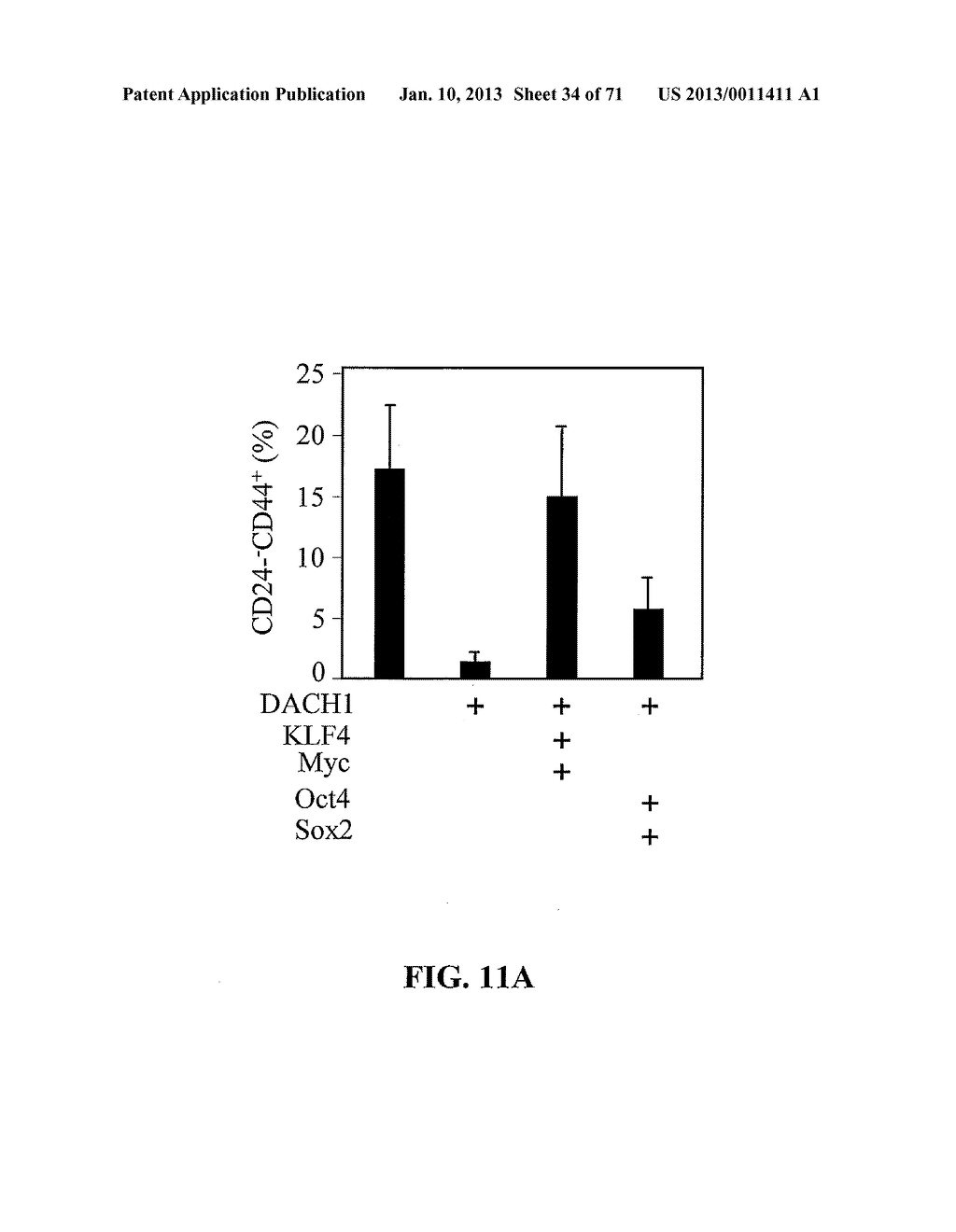 METHODS AND COMPOSITIONS FOR THE DIAGNOSIS, PROGNOSIS, AND TREATMENT OF     CANCER - diagram, schematic, and image 35