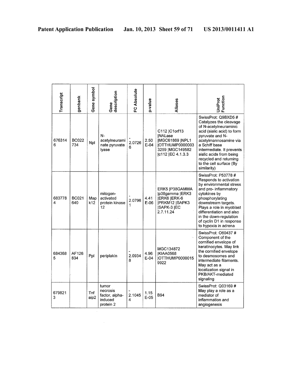 METHODS AND COMPOSITIONS FOR THE DIAGNOSIS, PROGNOSIS, AND TREATMENT OF     CANCER - diagram, schematic, and image 60