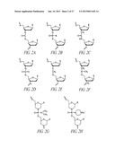 ANTISENSE ANTIVIRAL COMPOUNDS AND METHODS FOR TREATING A FILOVIRUS     INFECTION diagram and image