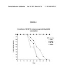 Tumor Antigens for the Prevention and/or Treatment of Cancer diagram and image