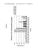 Tumor Antigens for the Prevention and/or Treatment of Cancer diagram and image