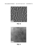 ANTIMICROBIAL POLYMERS AND METHODS OF MANUFACTURE THEREOF diagram and image