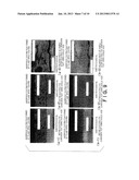 APPARATUS AND METHOD FOR FORMING AMORPHOUS COATING FILM diagram and image