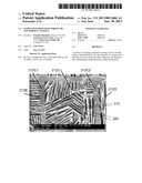 TEMPLATED GROWTH OF POROUS OR NON-POROUS CASTINGS diagram and image