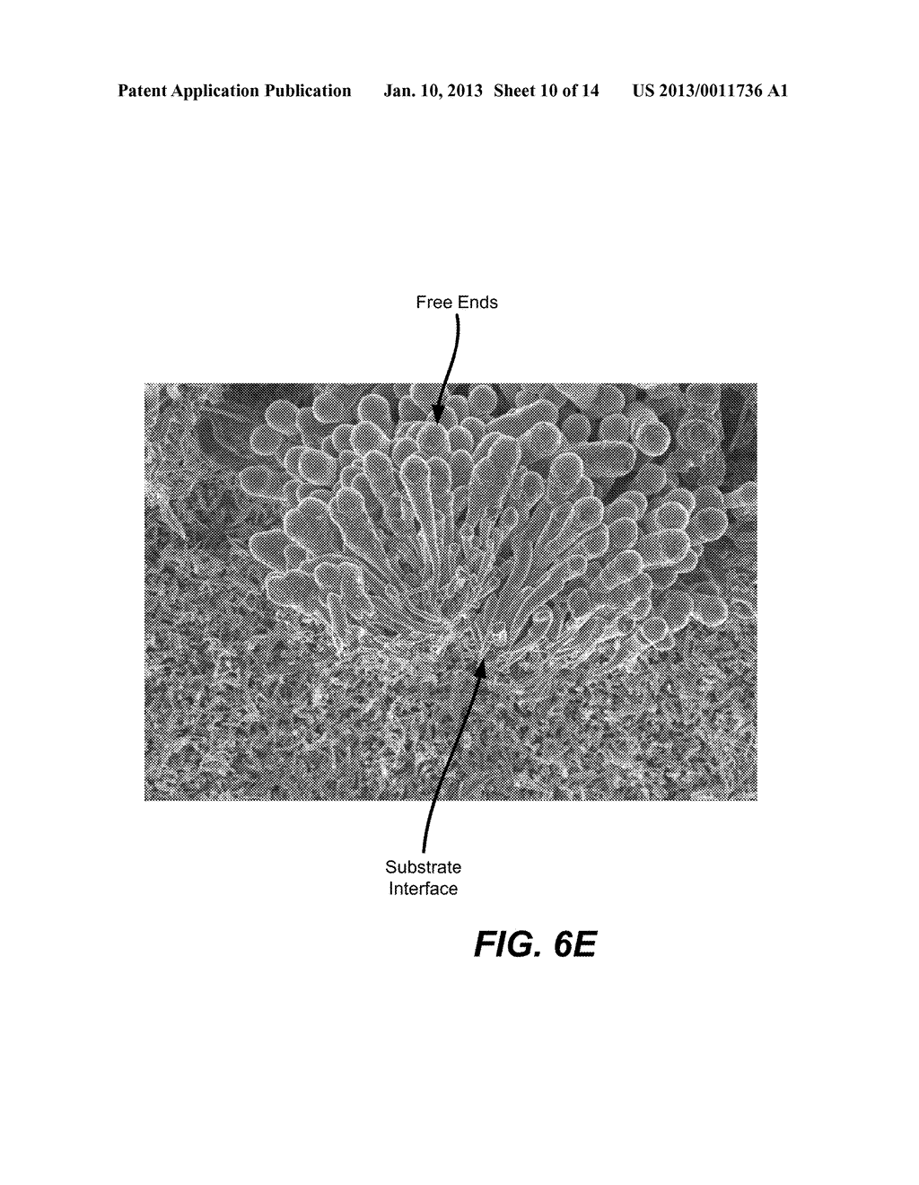 TEMPLATE ELECTRODE STRUCTURES WITH ENHANCED ADHESION CHARACTERISTICS - diagram, schematic, and image 11