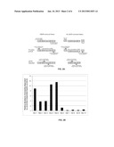 METHOD FOR IDENTIFYING NUCLEIC ACIDS BOUND TO AN ANALYTE diagram and image