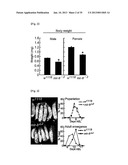 MICRORNA REGULATING THE INSULIN SIGNALING PATHWAY, AND METHOD FOR     SCREENING MATERIAL FOR CONTROLLING THE ACTION OF A TARGET THEREOF diagram and image