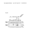 MICRORNA REGULATING THE INSULIN SIGNALING PATHWAY, AND METHOD FOR     SCREENING MATERIAL FOR CONTROLLING THE ACTION OF A TARGET THEREOF diagram and image