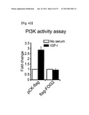 MICRORNA REGULATING THE INSULIN SIGNALING PATHWAY, AND METHOD FOR     SCREENING MATERIAL FOR CONTROLLING THE ACTION OF A TARGET THEREOF diagram and image