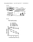 MICRORNA REGULATING THE INSULIN SIGNALING PATHWAY, AND METHOD FOR     SCREENING MATERIAL FOR CONTROLLING THE ACTION OF A TARGET THEREOF diagram and image