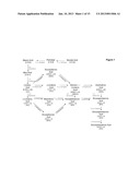 DELTA 17 DESATURASE AND ITS USE IN MAKING POLYUNSATURATED FATTY ACIDS diagram and image