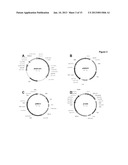 DELTA 17 DESATURASE AND ITS USE IN MAKING POLYUNSATURATED FATTY ACIDS diagram and image