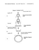 UNRESTRICTED MUTAGENESIS AND CLONING METHOD diagram and image