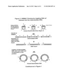 UNRESTRICTED MUTAGENESIS AND CLONING METHOD diagram and image