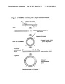 UNRESTRICTED MUTAGENESIS AND CLONING METHOD diagram and image