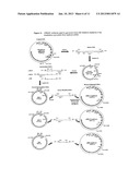 UNRESTRICTED MUTAGENESIS AND CLONING METHOD diagram and image