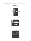 UNRESTRICTED MUTAGENESIS AND CLONING METHOD diagram and image