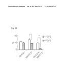 METHOD OF GENERATING MYELINATING OLIGODENDROCYTES diagram and image