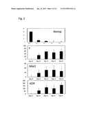 METHOD FOR INDUCING DIFFERENTIATION OF PLURIPOTENT STEM CELLS INTO     MESODERMAL CELLS diagram and image