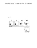 METHOD FOR INDUCING DIFFERENTIATION OF PLURIPOTENT STEM CELLS INTO     MESODERMAL CELLS diagram and image