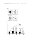 METHOD FOR INDUCING DIFFERENTIATION OF PLURIPOTENT STEM CELLS INTO     MESODERMAL CELLS diagram and image