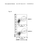 METHOD FOR INDUCING DIFFERENTIATION OF PLURIPOTENT STEM CELLS INTO     MESODERMAL CELLS diagram and image
