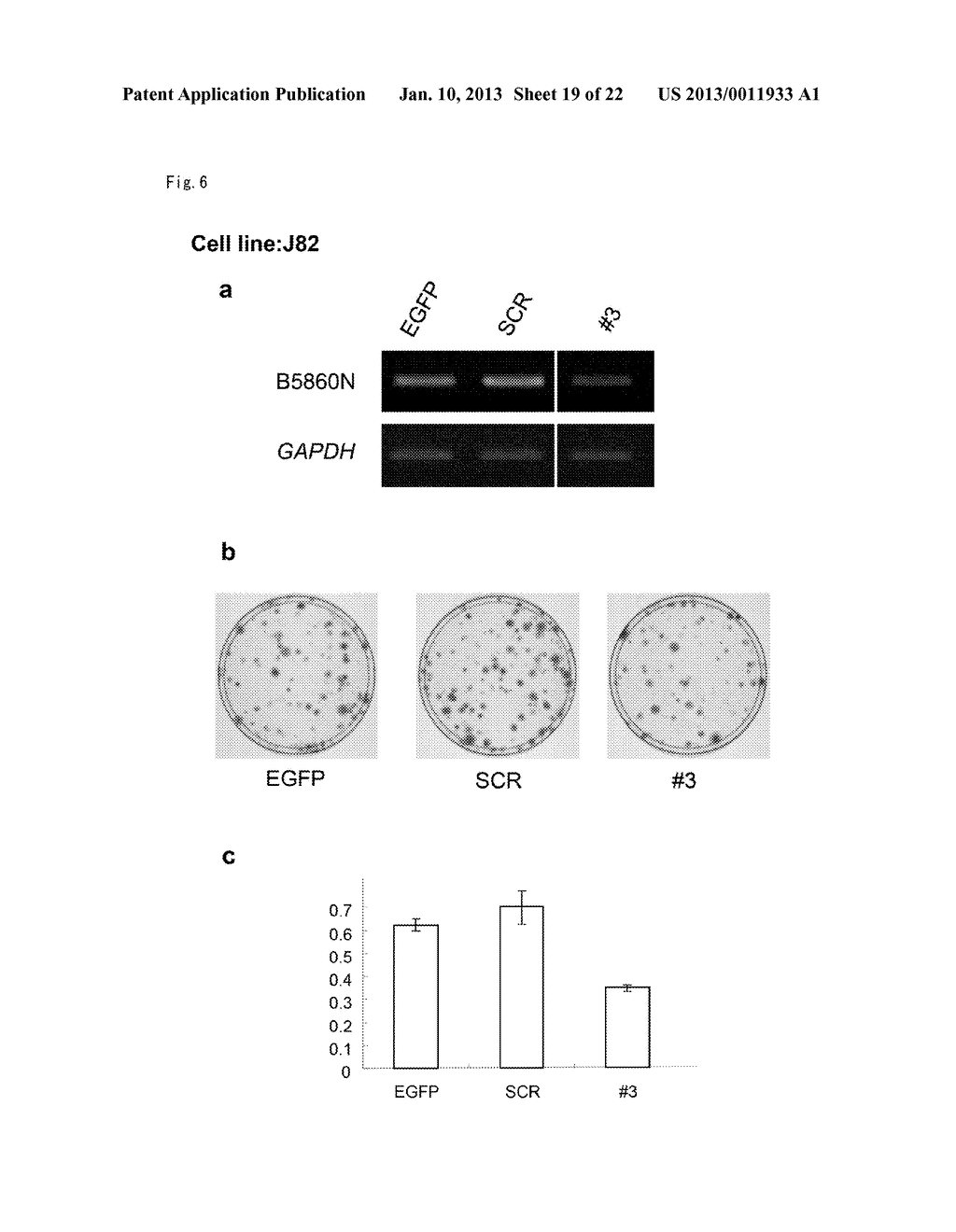 METHOD OF DIAGNOSING BLADDER CANCER - diagram, schematic, and image 20