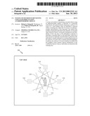 System and Method of Identifying Concealed Objects Using Anthropomorphic     Display diagram and image