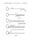 SEQUENCING METHODS AND COMPOSITIONS diagram and image