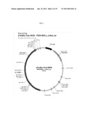 Virion Derived Protein Nanoparticles For Delivering Diagnostic Or     Therapeutic Agents For the Treatment of Psoriasis diagram and image