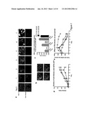 ANTI-INFECTIVE PYRIDO (1,2-A) PYRIMIDINES diagram and image