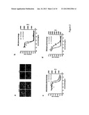 ANTI-INFECTIVE PYRIDO (1,2-A) PYRIMIDINES diagram and image