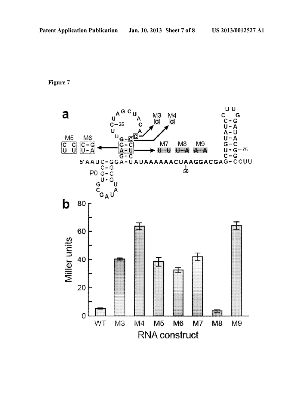PREQ1 RIBOSWITCHES AND METHODS AND COMPOSITIONS FOR USE OF AND WITH PREQ1     RIBOSWITCHES - diagram, schematic, and image 08