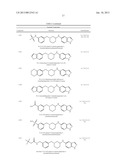 CYTOSKELETAL ACTIVE RHO KINASE INHIBITOR COMPOUNDS, COMPOSITION AND USE diagram and image