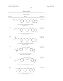 CYTOSKELETAL ACTIVE RHO KINASE INHIBITOR COMPOUNDS, COMPOSITION AND USE diagram and image