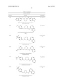 CYTOSKELETAL ACTIVE RHO KINASE INHIBITOR COMPOUNDS, COMPOSITION AND USE diagram and image