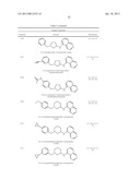 CYTOSKELETAL ACTIVE RHO KINASE INHIBITOR COMPOUNDS, COMPOSITION AND USE diagram and image