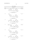 CYTOSKELETAL ACTIVE RHO KINASE INHIBITOR COMPOUNDS, COMPOSITION AND USE diagram and image