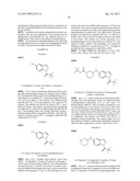 CYTOSKELETAL ACTIVE RHO KINASE INHIBITOR COMPOUNDS, COMPOSITION AND USE diagram and image