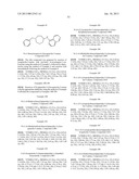 CYTOSKELETAL ACTIVE RHO KINASE INHIBITOR COMPOUNDS, COMPOSITION AND USE diagram and image