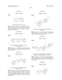 CYTOSKELETAL ACTIVE RHO KINASE INHIBITOR COMPOUNDS, COMPOSITION AND USE diagram and image