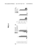 Kits for Detecting Direct Oxidation of Calcium/Calmodulin Dependent     Protein Kinase II and Associated Diagnostic and Therapeutic Methods diagram and image