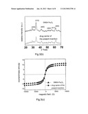 MAGNETICALLY-CONTROLLABLE NANOMETRIC POROUS DRUG CARRIER diagram and image