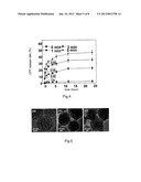 MAGNETICALLY-CONTROLLABLE NANOMETRIC POROUS DRUG CARRIER diagram and image