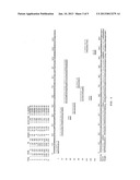 APPARATUS AND METHOD FOR STRUCTURE-BASED PREDICTION OF AMINO ACID     SEQUENCES diagram and image