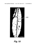 Ultrasonic Analyte Concentration and Application in Flow Cytometry diagram and image