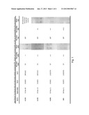 Electrophoresis buffer for extending the useful electrophoresis life of an     electrophoresis gel diagram and image