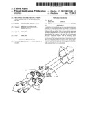 MULTIPOLE ASSEMBLY HAVING A MAIN MASS FILTER AND AN AUXILIARY MASS FILTER diagram and image