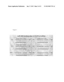 COMPOSITIONS COMPRISING CARDIAC STEM CELLS OVEREXPRESSING SPECIFIC     MICRORNAS AND METHODS OF THEIR USE IN REPAIRING DAMAGED MYOCARDIUM diagram and image